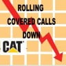 cat-down