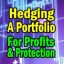 hedging-portfolio-profits