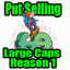 Put Selling Large Cap Stocks Reason 1