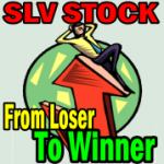 slvwinner slvwinner