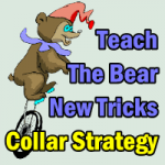 Collar Strategy - Teach The Bear New Tricks Using A Collar Option