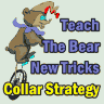 Teach The Bear New Tricks