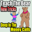 teachbeartricks teachbeartricks
