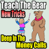 teachbeartricks