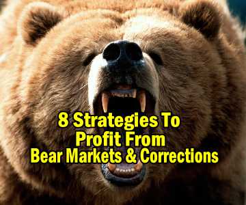 8 Simple Strategies To Profit From Bear Markets and Corrections