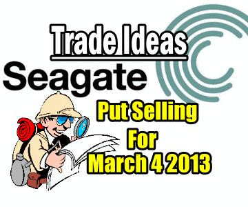 Seagate Stock Trade Idea For March 4 2013