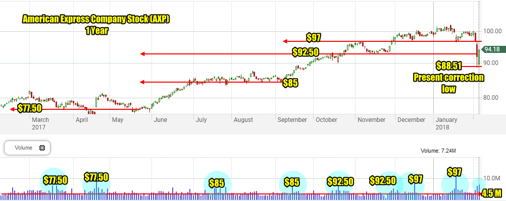 American Express Company Stock (AXP) 12 Month Daily Chart