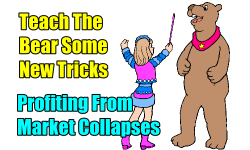 Teach The Bear Some New Tricks – Profiting From Market Collapses – Become A Better Investor