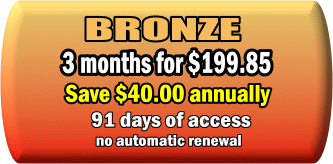 Bronze 3 month membership