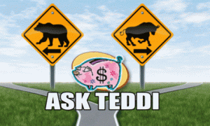 ASK TEDDI