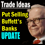 Put Selling buffett's banks update