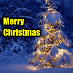 Merry Christmas To Investors From FullyInformed.com