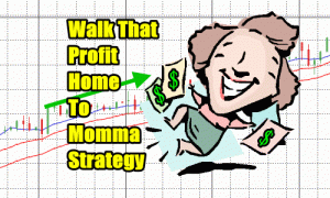 Walk That Profit Home to Momma Put Selling Strategy Trades