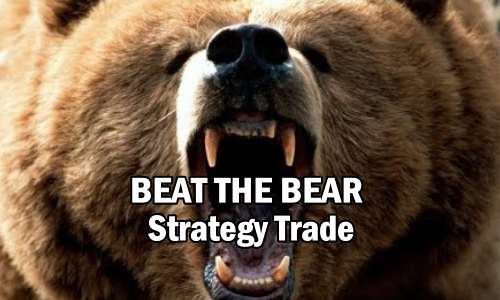 Beat The Bear Strategy Trade Alert