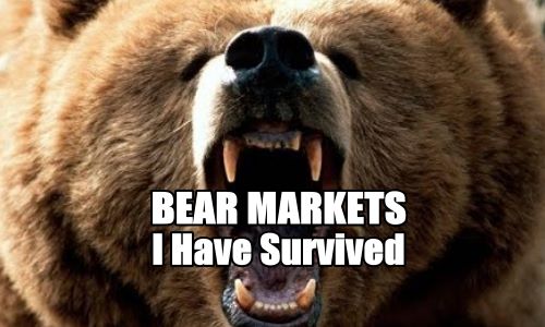 The Bear Markets I Have Survived