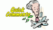 Quick Comments