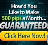 Forex Trading Software Plug-In