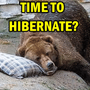 Market Timing / Market Direction – Time To Hibernate?
