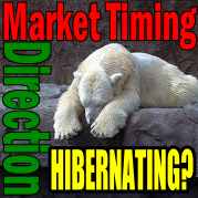Market Timing / Market Direction Is The Bear Hibernating?