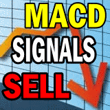 MACD Issues Sell Signal and Market Timing Indicators Confirm It