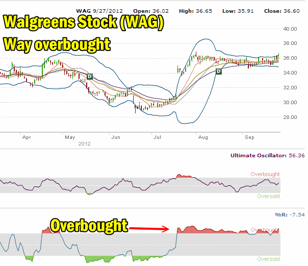 Stock and option Walgreen Stock
