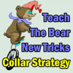 Teach The Bear New Tricks